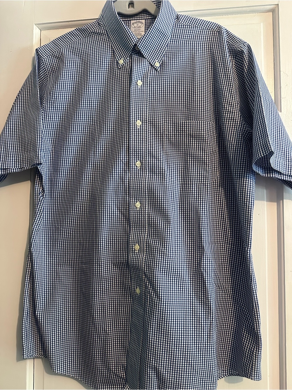 Brooks Brothers Blue and White Gingham Short-Sleeve Button-Down Shirt